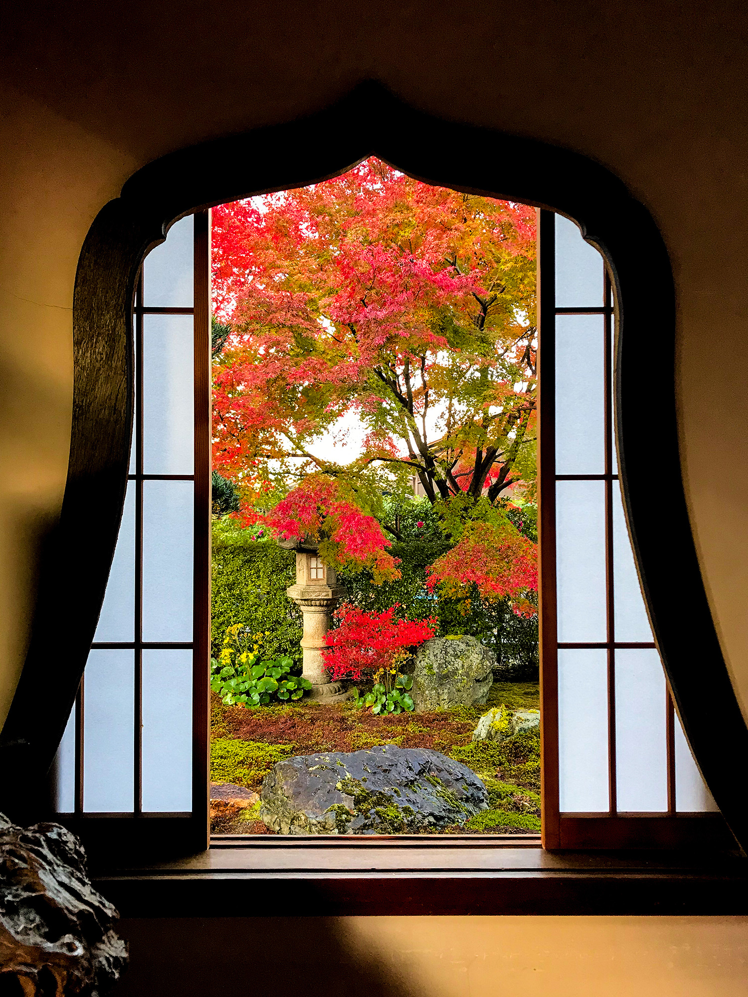 秋の華頭窓