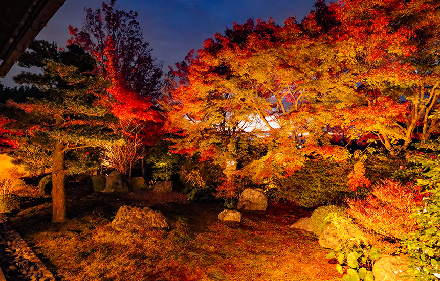 天得院秋の特別拝観のライトアップ-桃山時代枯山水庭園