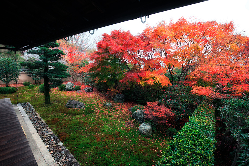 天得院_秋の特別拝観_枯山水庭園
